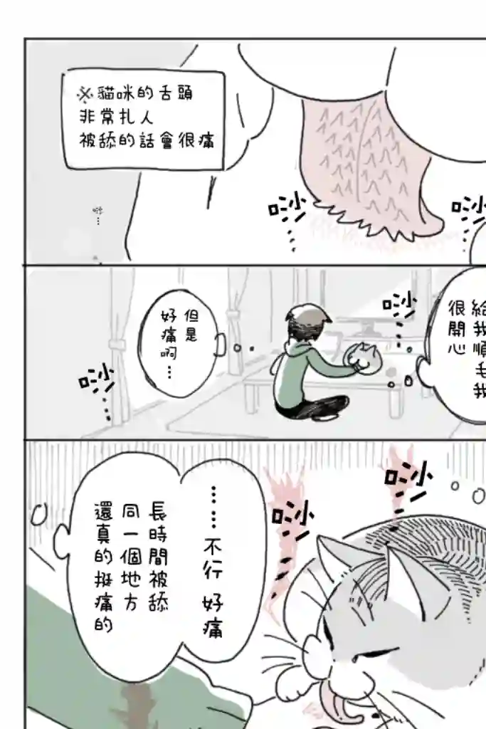 关于养猫我一直是新手第04话