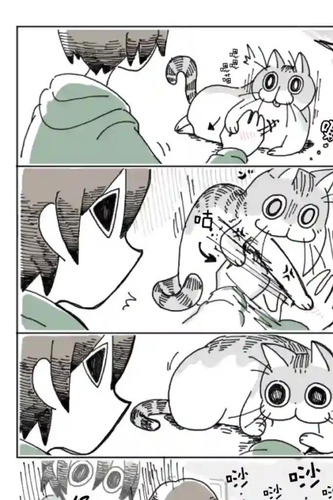 关于养猫我一直是新手第04话