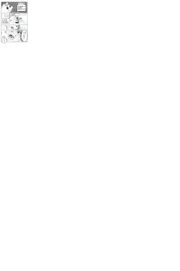 关于养猫我一直是新手第04话