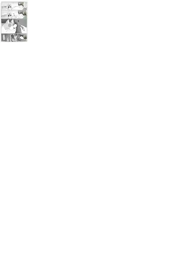 关于养猫我一直是新手第04话
