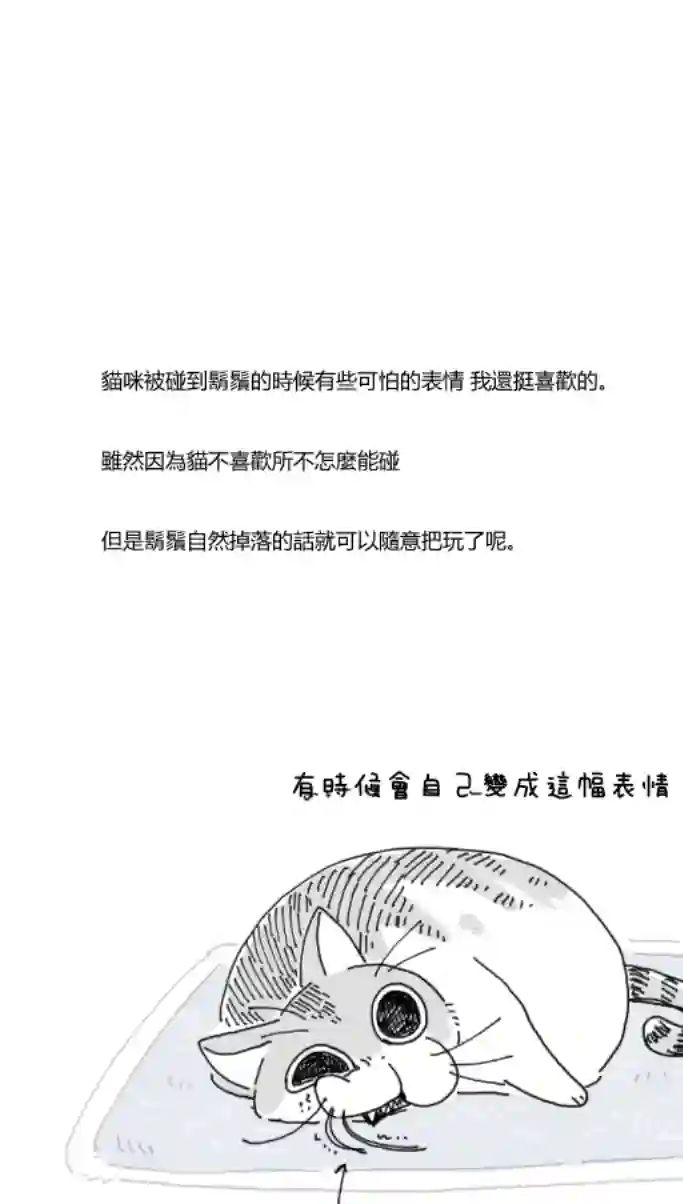 关于养猫我一直是新手第04话