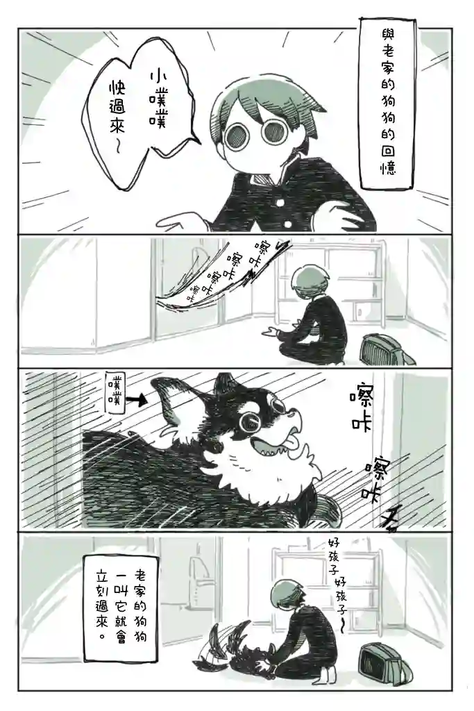 关于养猫我一直是新手第05话