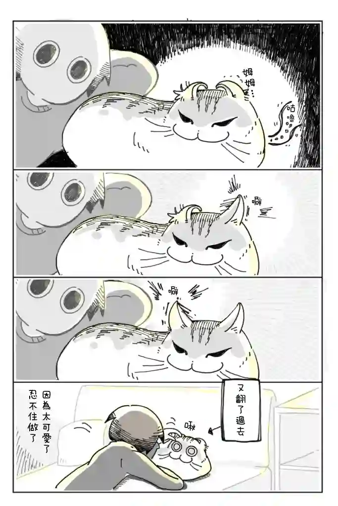 关于养猫我一直是新手第05话