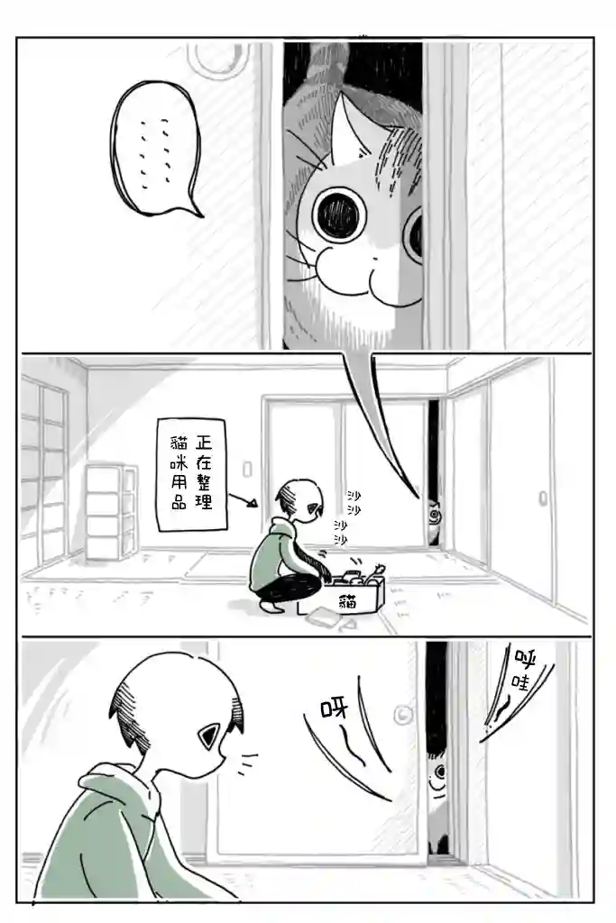 关于养猫我一直是新手第05话