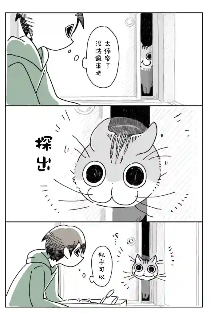 关于养猫我一直是新手第05话