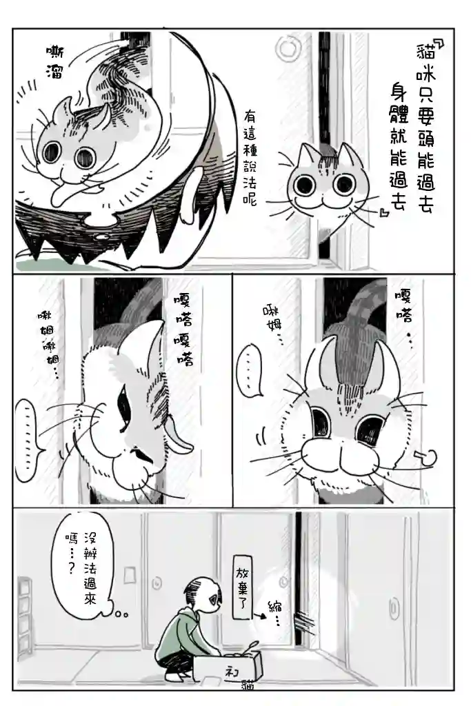 关于养猫我一直是新手第05话