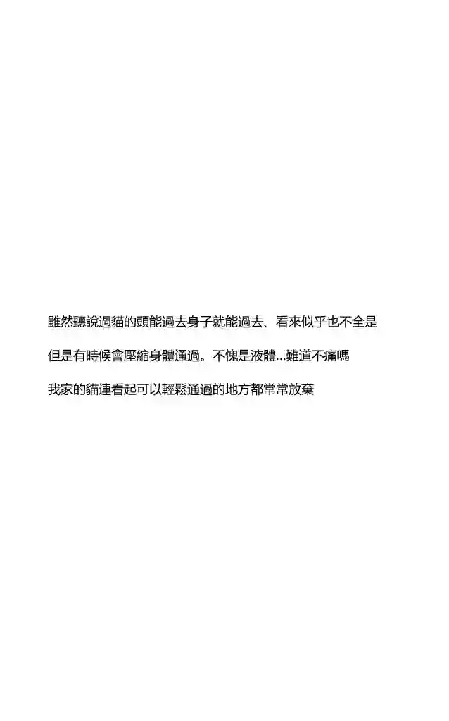 关于养猫我一直是新手第05话