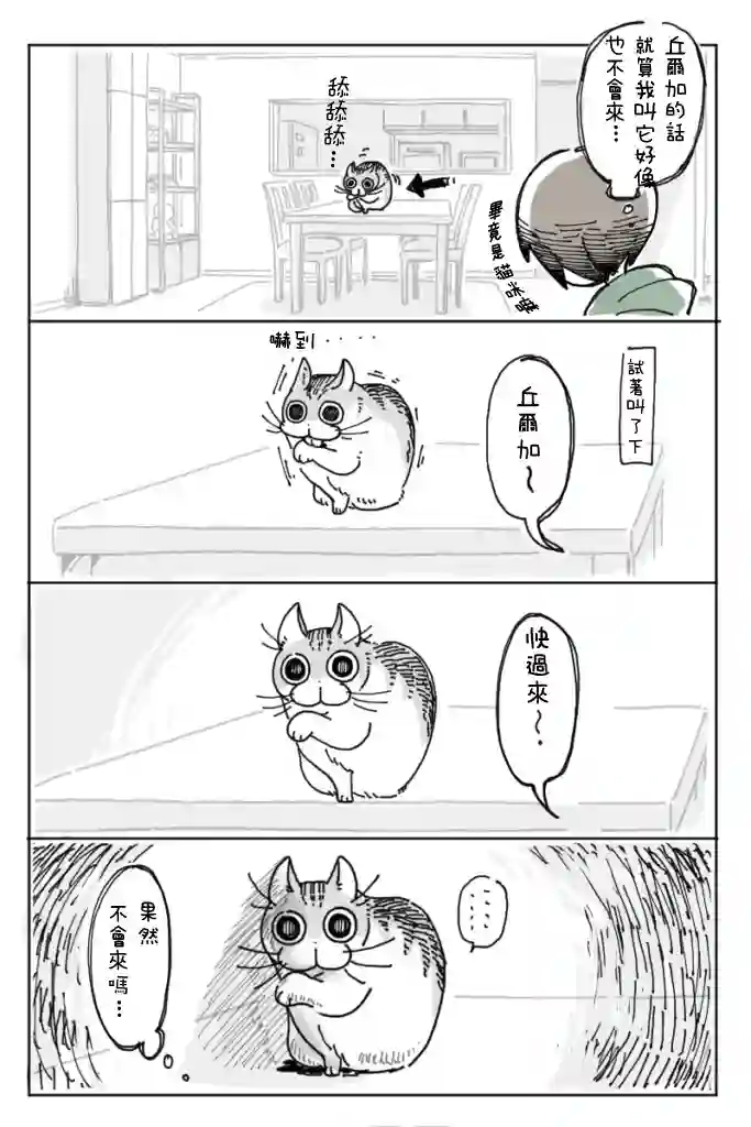 关于养猫我一直是新手第05话