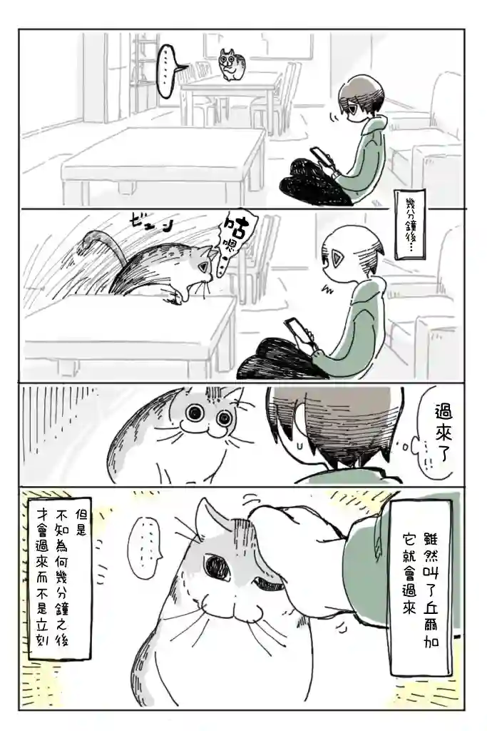 关于养猫我一直是新手第05话