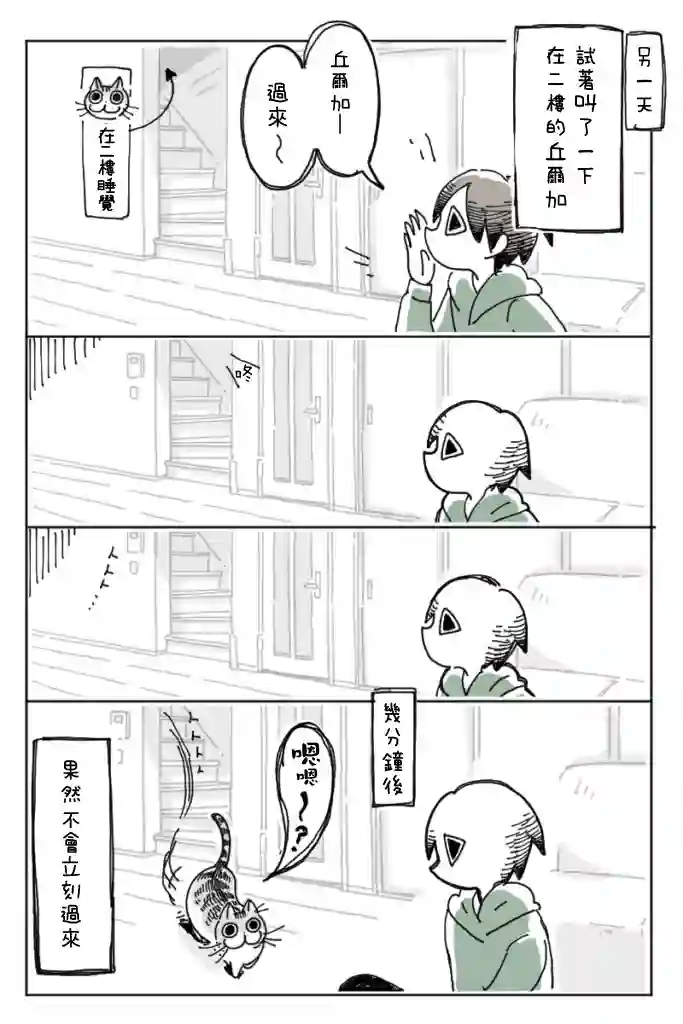 关于养猫我一直是新手第05话