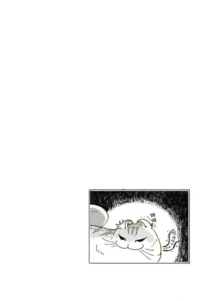 关于养猫我一直是新手第05话