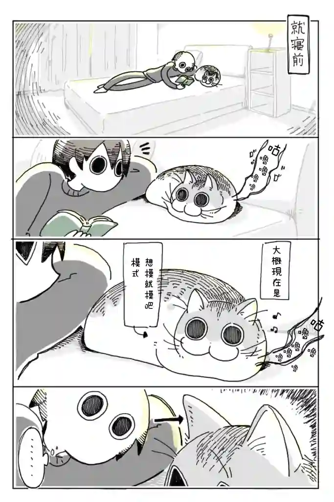 关于养猫我一直是新手第05话
