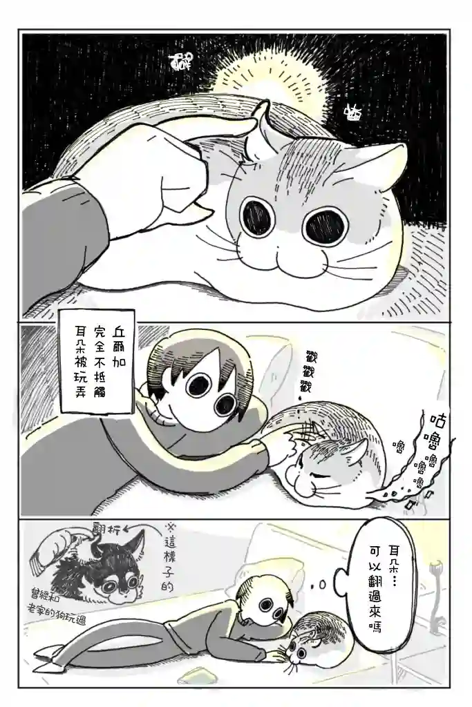 关于养猫我一直是新手第05话