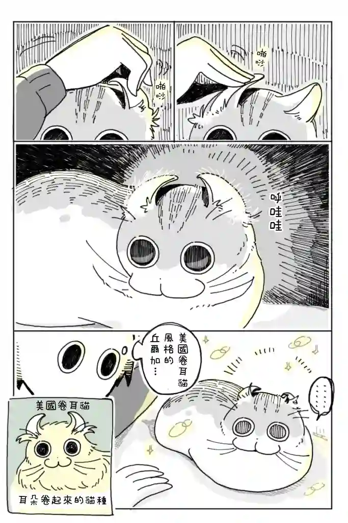 关于养猫我一直是新手第05话
