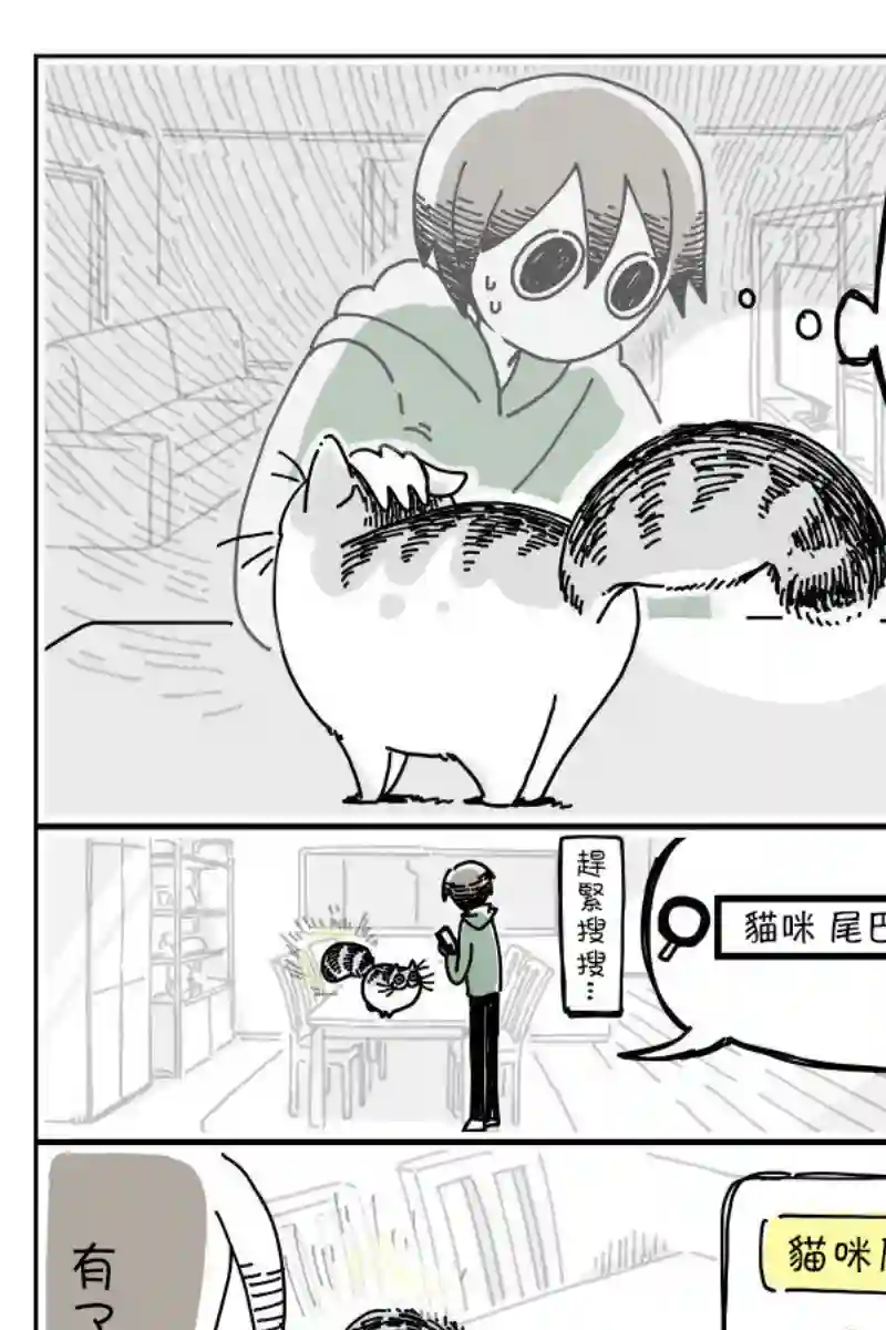 关于养猫我一直是新手第06话