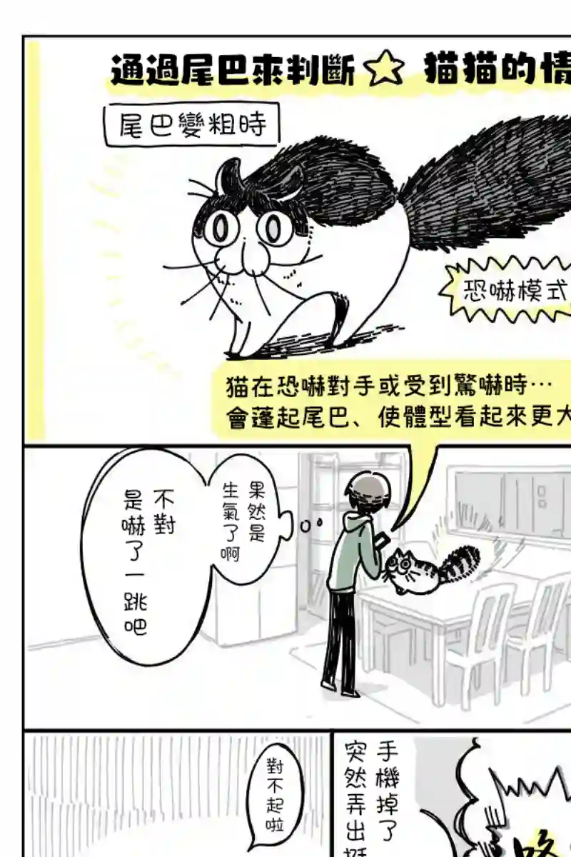 关于养猫我一直是新手第06话