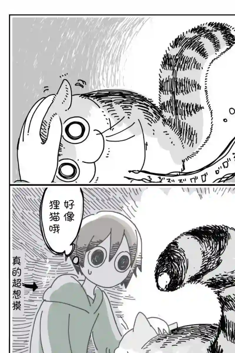 关于养猫我一直是新手第06话