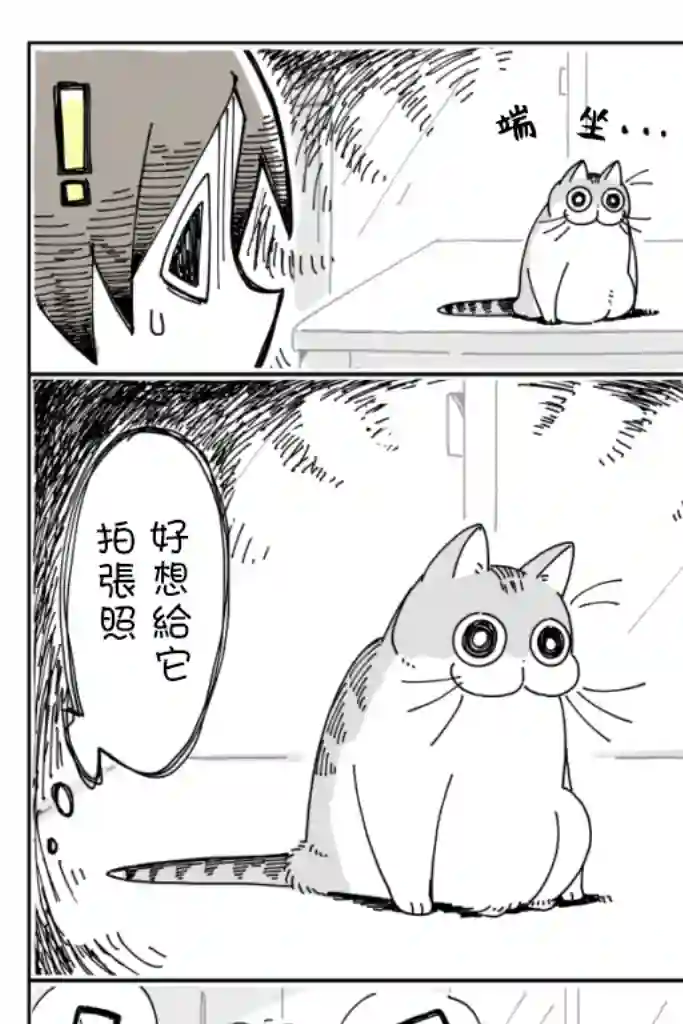关于养猫我一直是新手第07话