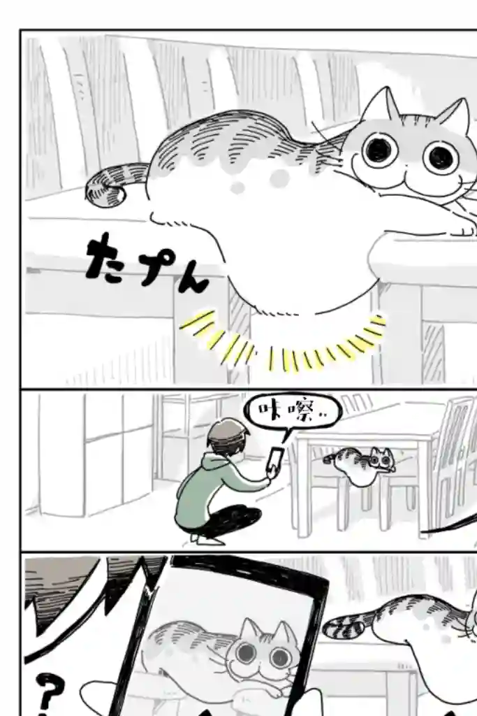 关于养猫我一直是新手第07话