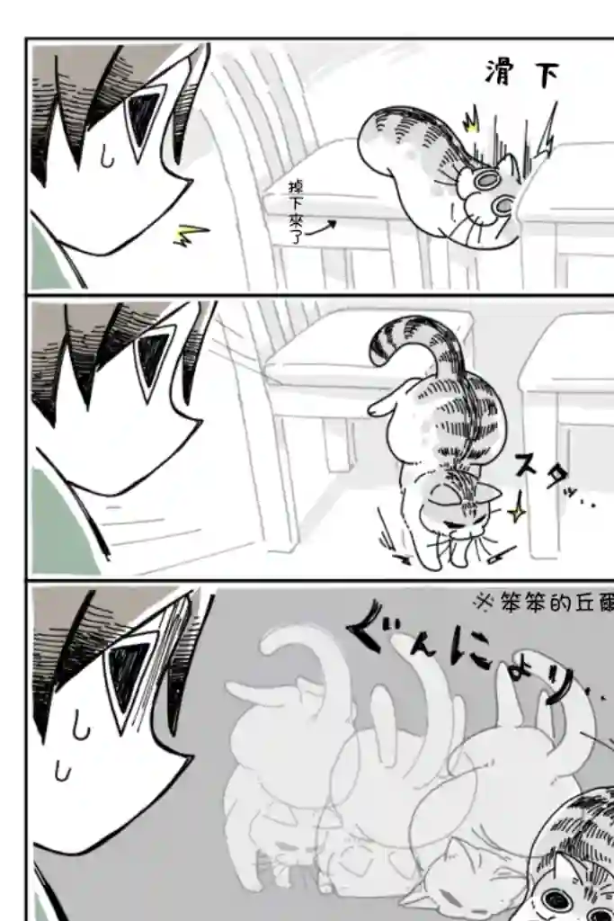 关于养猫我一直是新手第07话