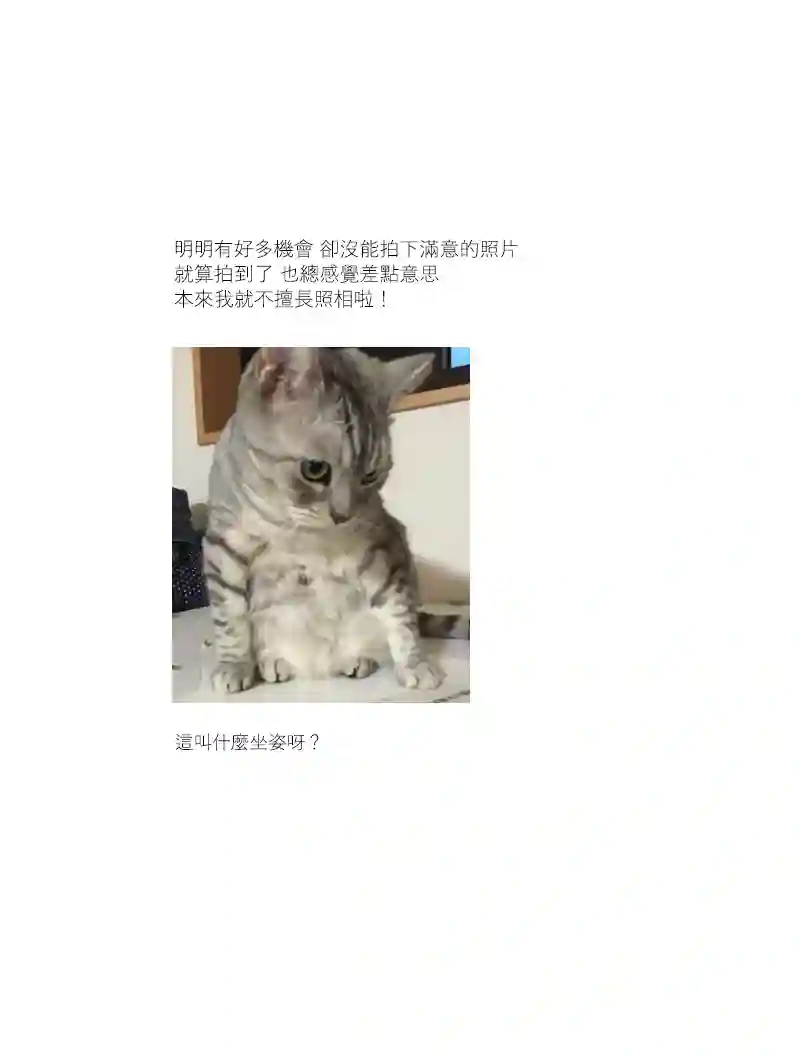 关于养猫我一直是新手第07话