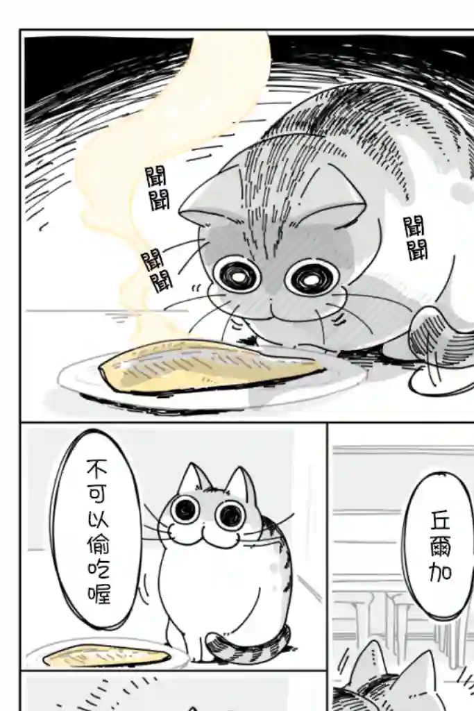 关于养猫我一直是新手第09话