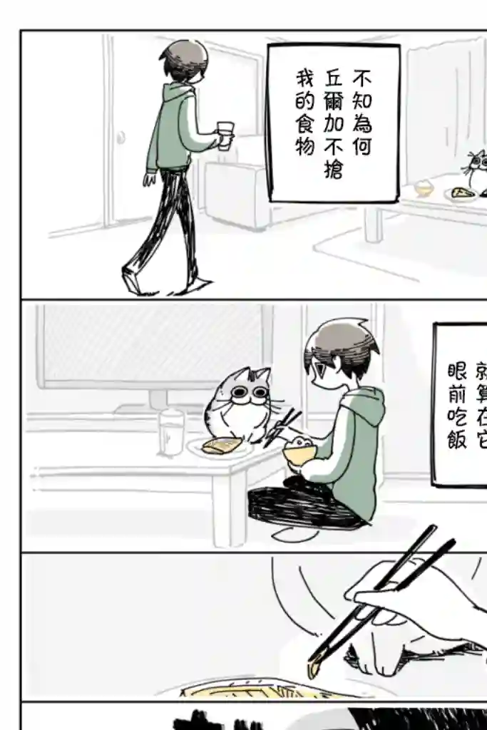关于养猫我一直是新手第09话