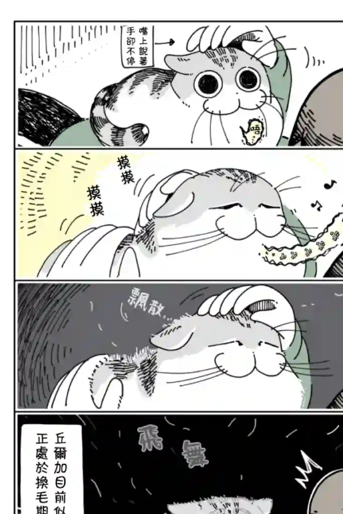 关于养猫我一直是新手第11话