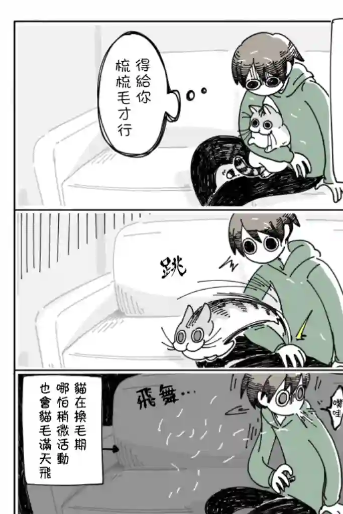 关于养猫我一直是新手第11话