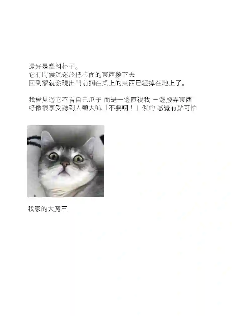 关于养猫我一直是新手第12话