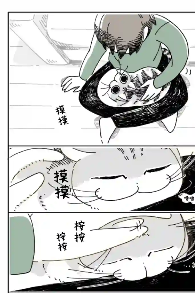 关于养猫我一直是新手第14话