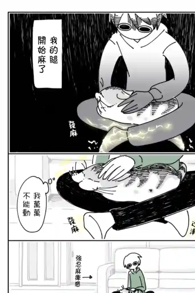 关于养猫我一直是新手第14话