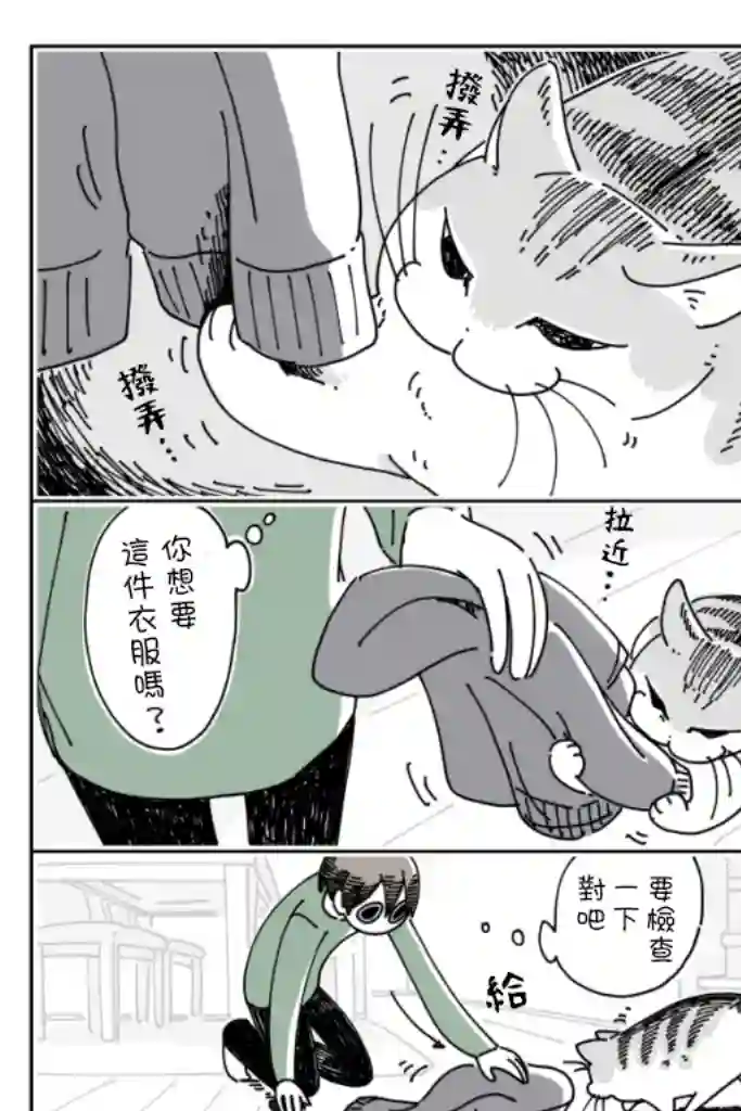 关于养猫我一直是新手第15话