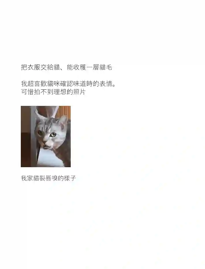 关于养猫我一直是新手第15话