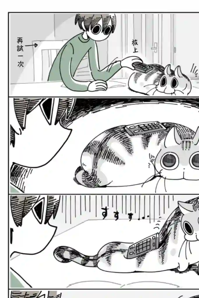 关于养猫我一直是新手第16话
