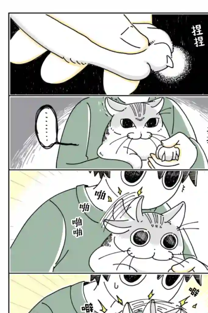 关于养猫我一直是新手第18话
