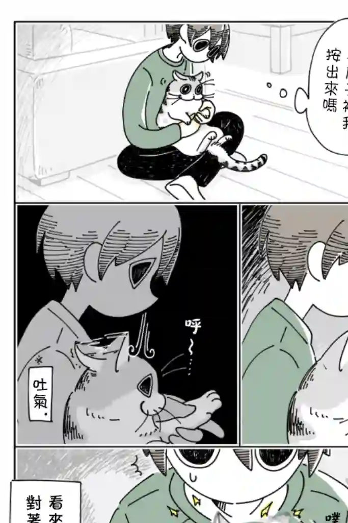关于养猫我一直是新手第18话