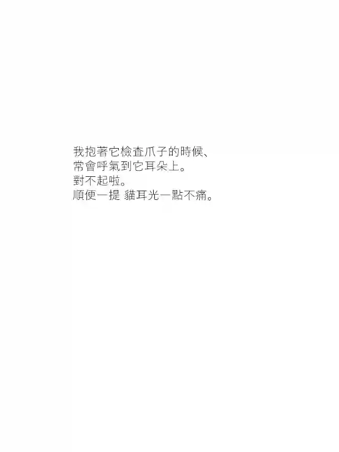 关于养猫我一直是新手第18话