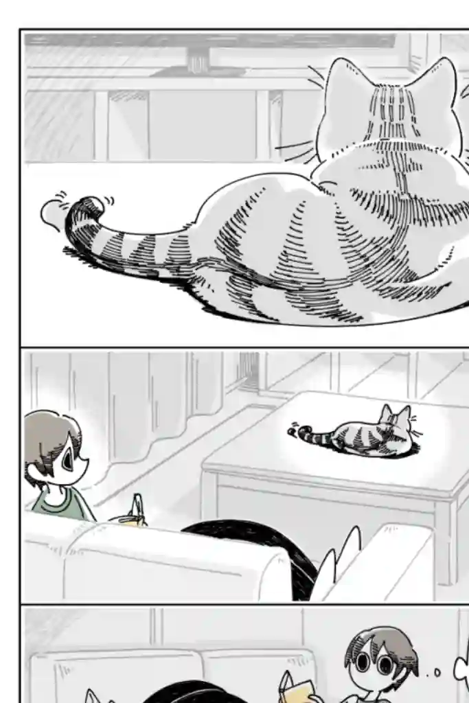 关于养猫我一直是新手第19话