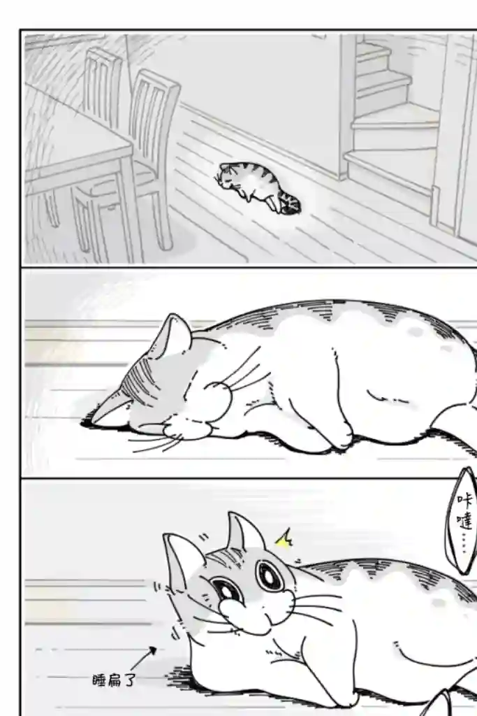 关于养猫我一直是新手第20话