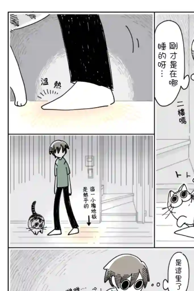 关于养猫我一直是新手第20话