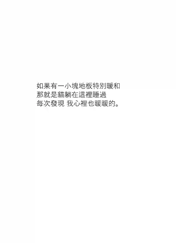 关于养猫我一直是新手第20话