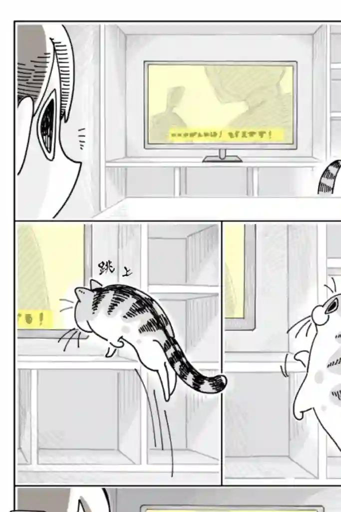 关于养猫我一直是新手第21话