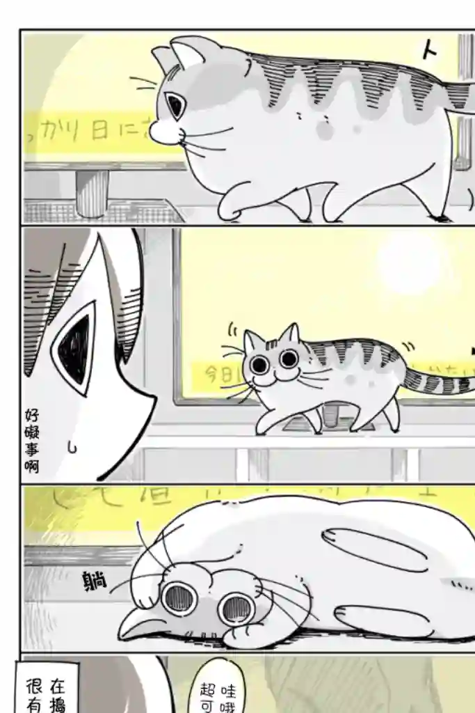 关于养猫我一直是新手第21话
