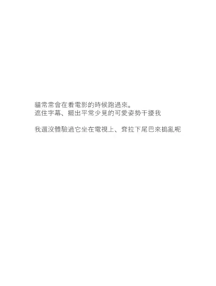 关于养猫我一直是新手第21话