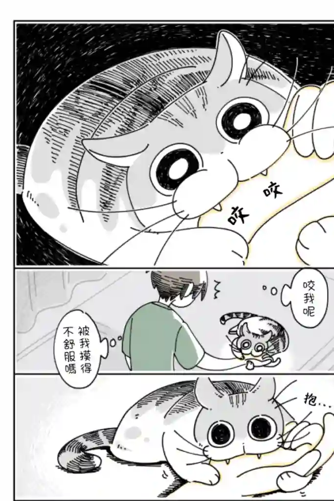 关于养猫我一直是新手第22话