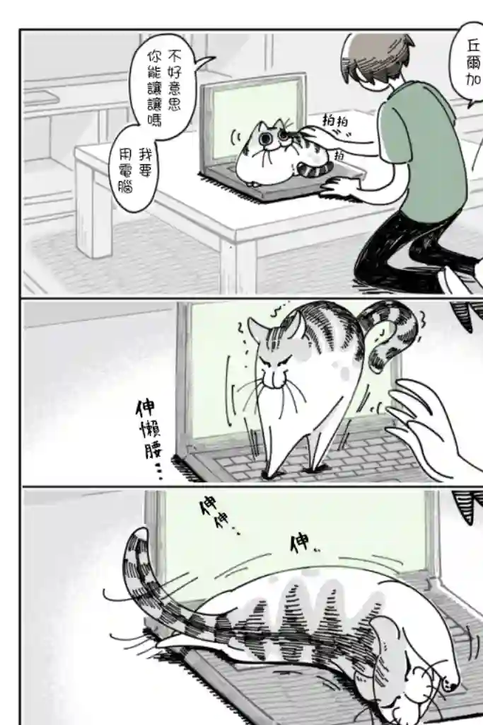 关于养猫我一直是新手第23话