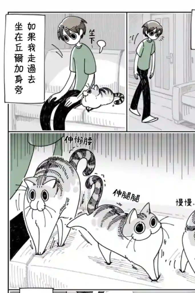 关于养猫我一直是新手第25话