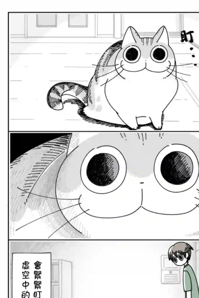 关于养猫我一直是新手第26话