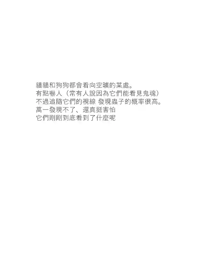 关于养猫我一直是新手第26话